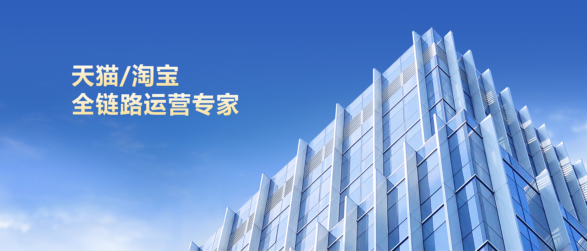 大麥天貓代運(yùn)營(yíng)榮譽(yù)
