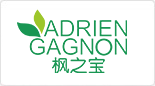 楓之寶