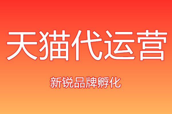 天貓代運(yùn)營(yíng)